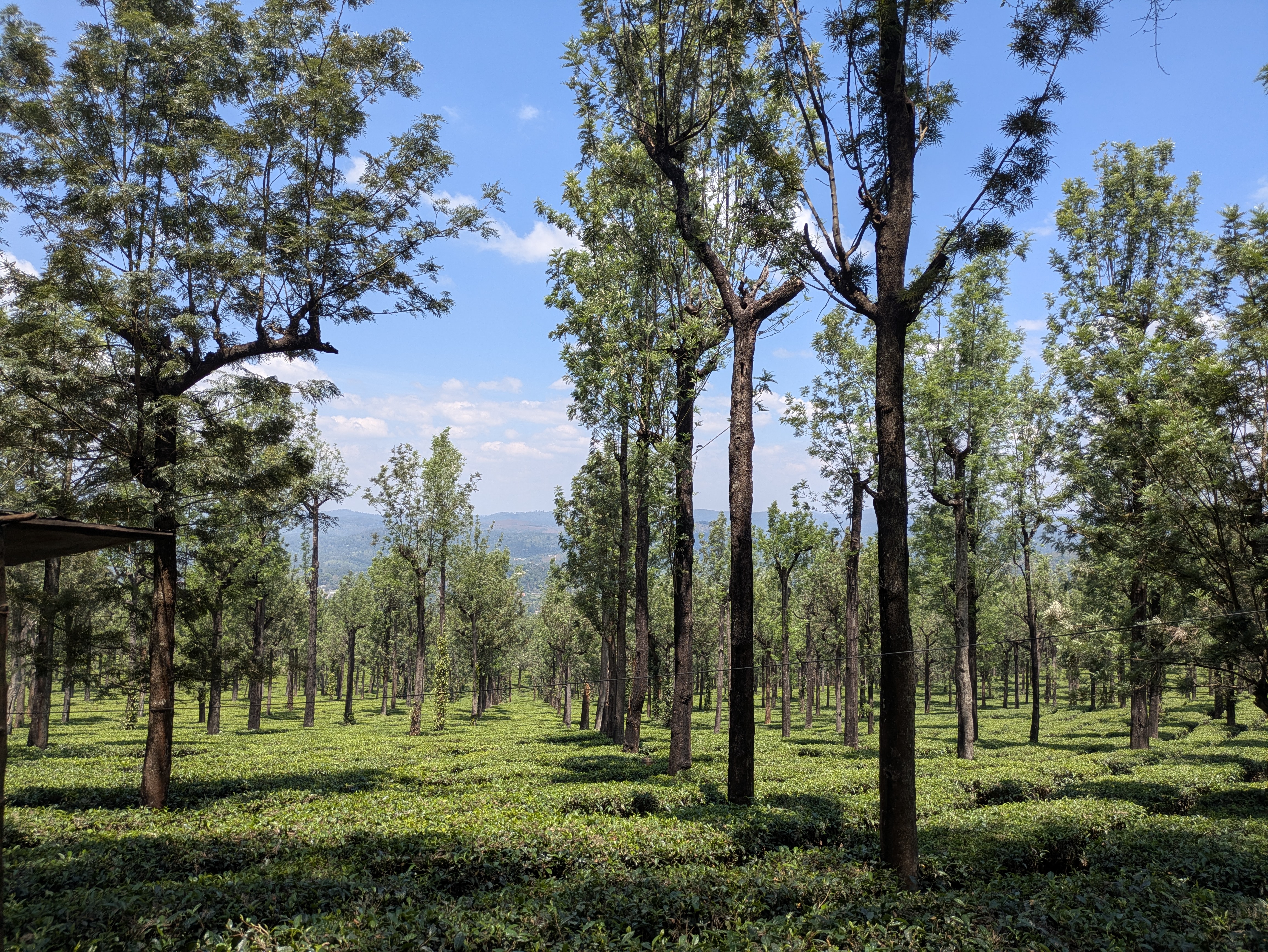 First beautiful glimpse of Ooty